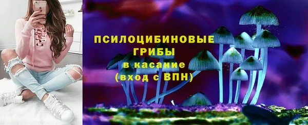 крисы Беломорск